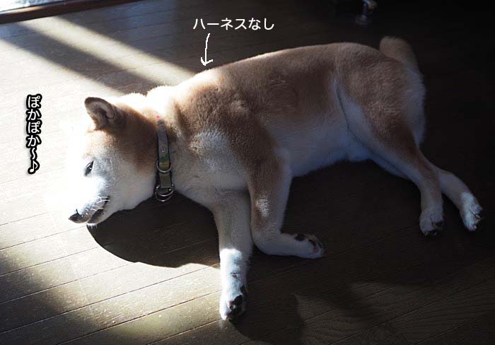 10日ブログ１