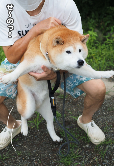 25日夕ブログ３
