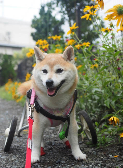 8日夕ブログ２