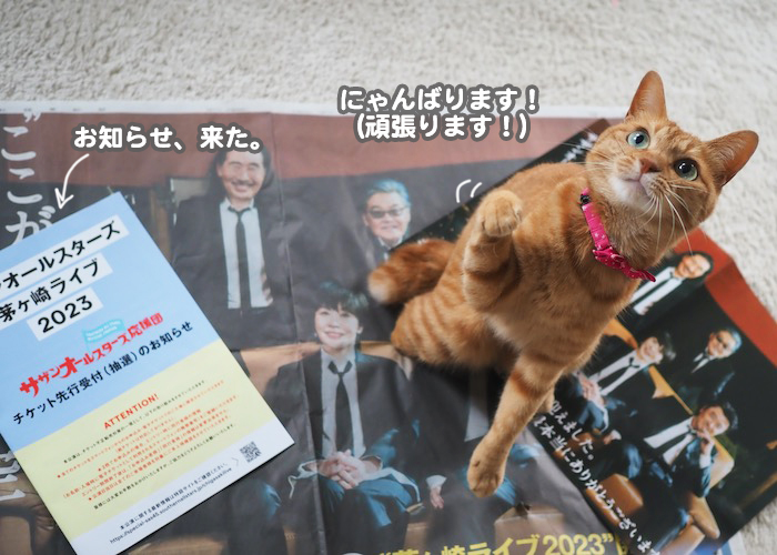 29日ブログ７