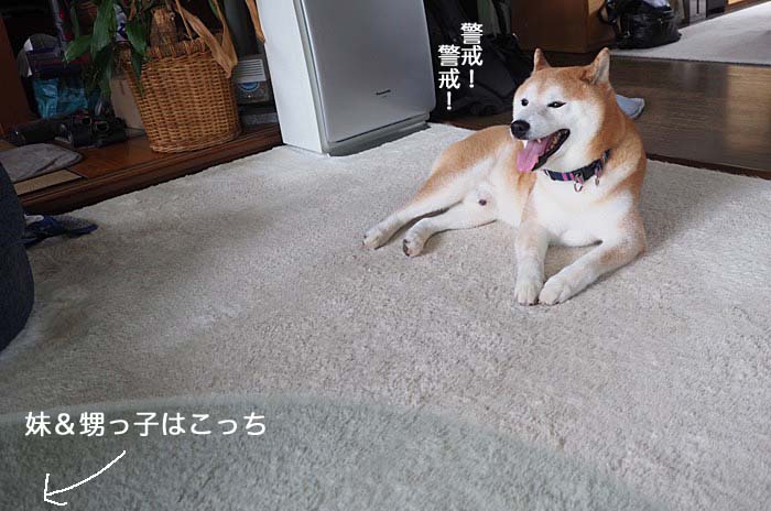 30日ブログ４