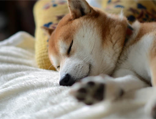 29日ブログ3.jpg