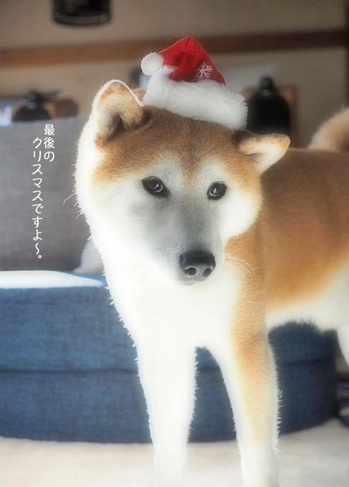 25日ブログ3