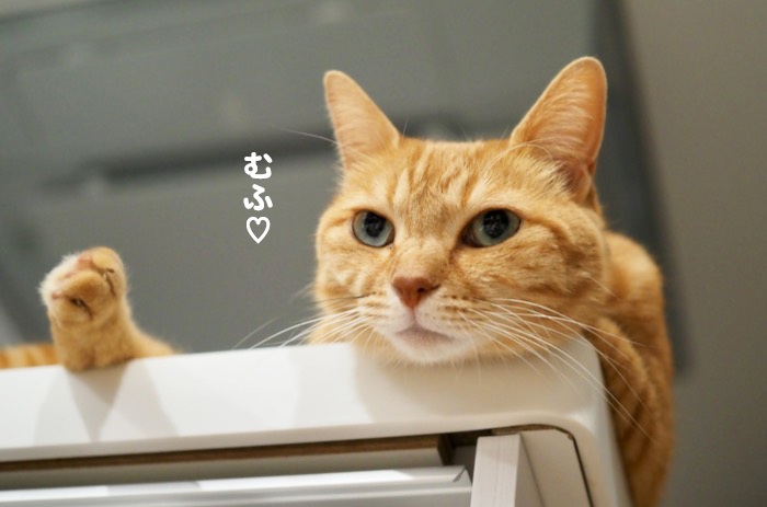 9日ブログ３
