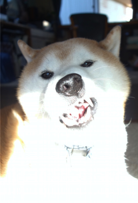 13日夜ブログ４