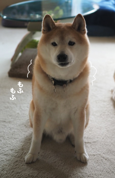 18日夕ブログ２