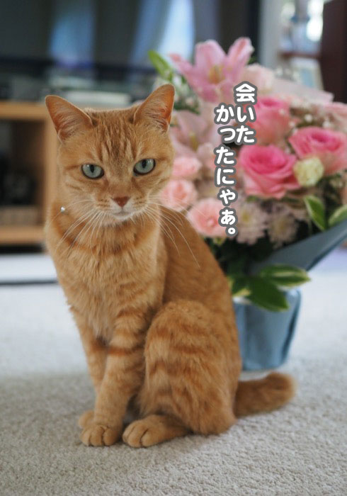 3日夕ブログ5