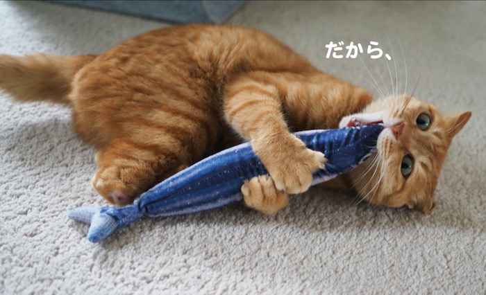 18日夕ブログ7