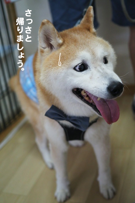 18日夕ブログ９