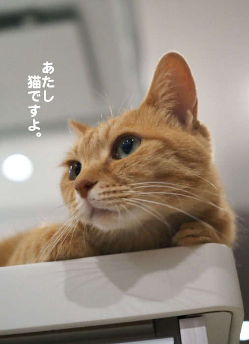 21日ブログ4