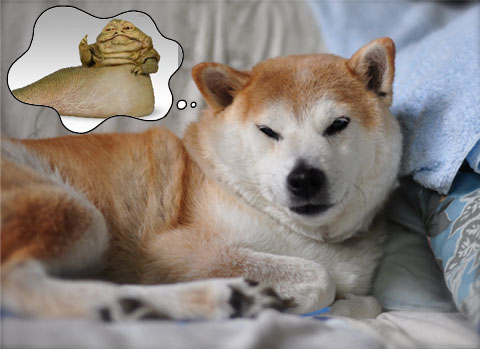 28日ブログ15.jpg