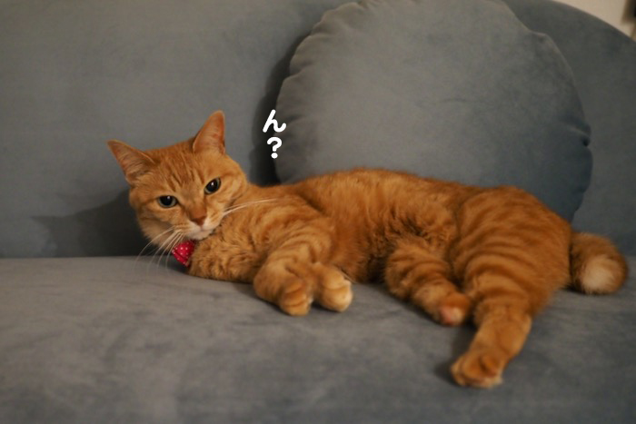 14日ブログ１