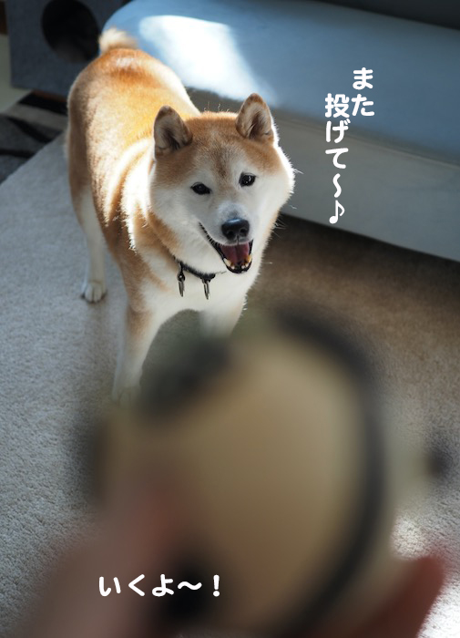 2日夕ブログ４