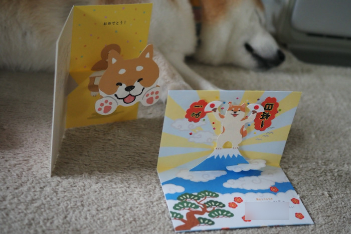 28日ブログ１
