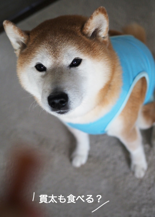 15日夕ブログ２