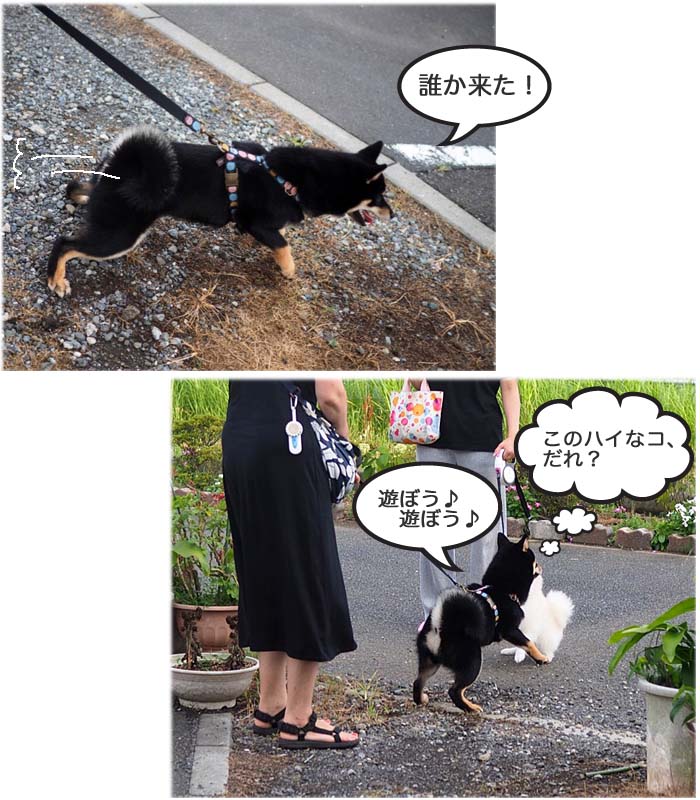9日夕ブログ５