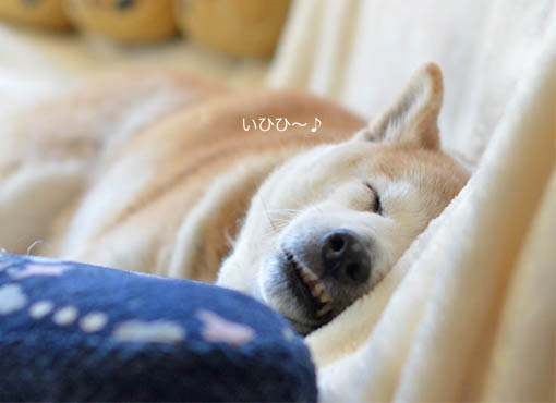 28日ブログ3.jpg