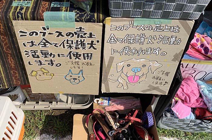 4日ブログ3