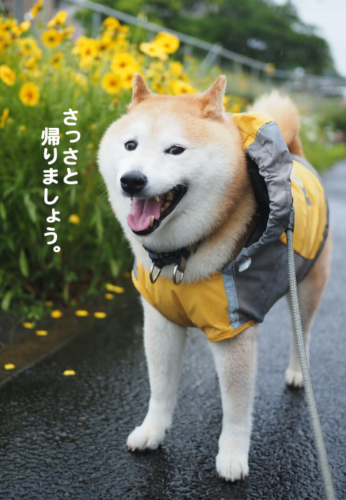 19日ブログ６
