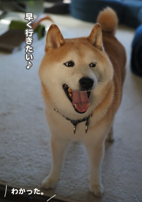 22日夜ブログ２