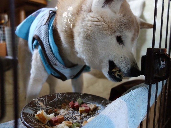8日ブログ4