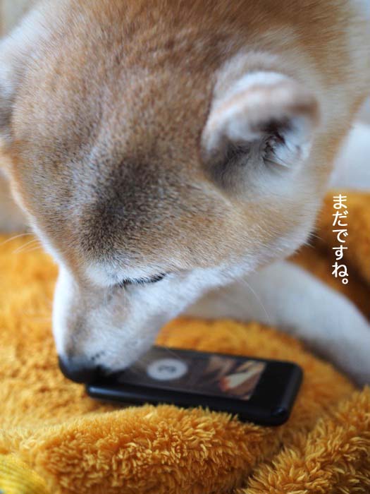 28日ブログ３