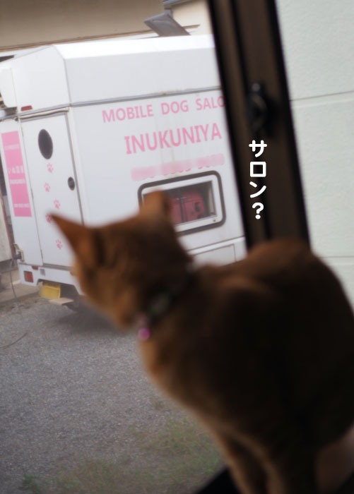 2日夕ブログ４