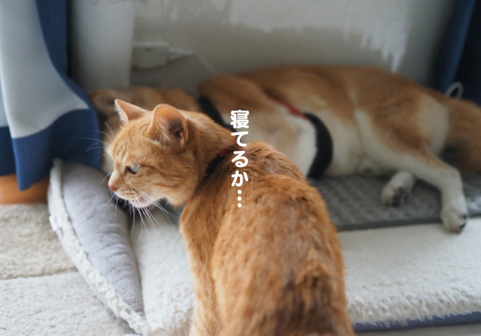 13日ブログ３