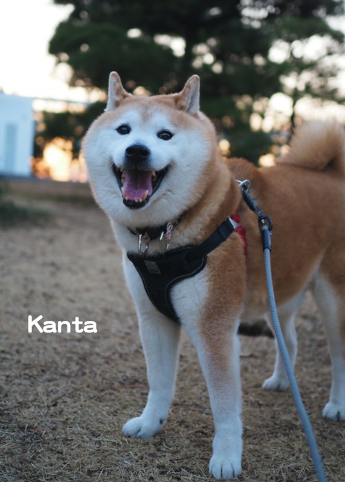18日夕ブログ６