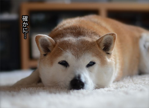 29日ブログ8.jpg