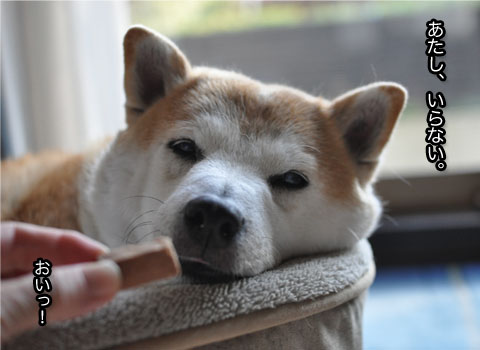 31日ブログ4.jpg