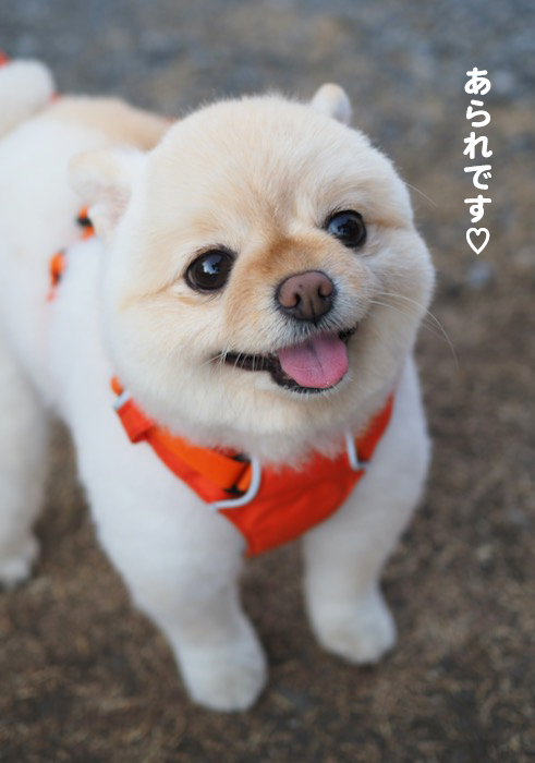 4日ブログ３