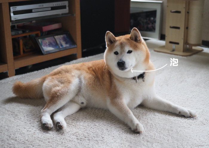 27日夕ブログ２