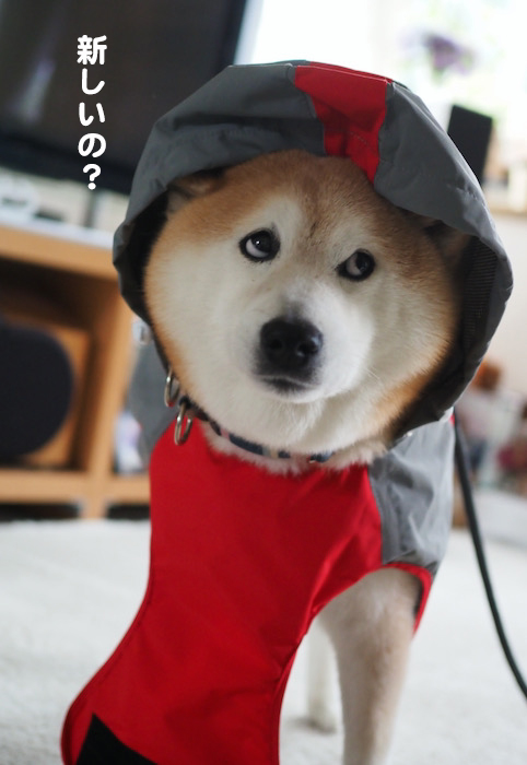 14日夜ブログ３