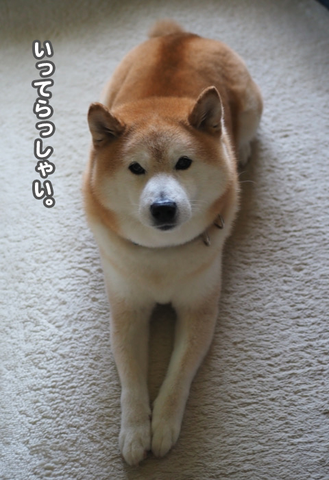 10日ブログ１