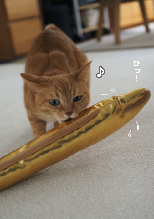 23日夕ブログ８