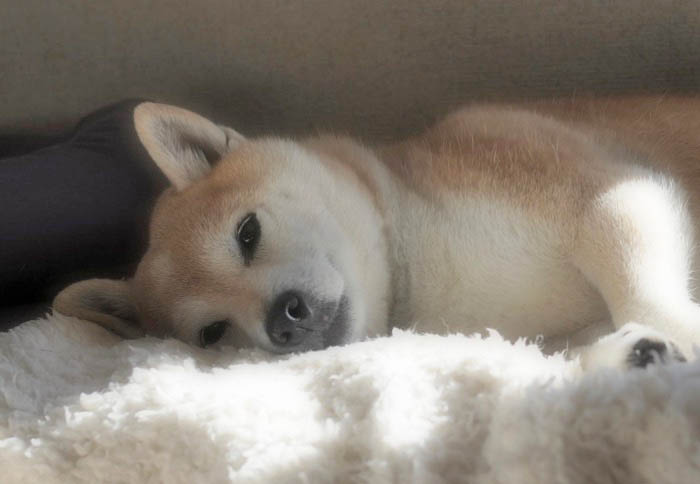 13日ブログ６