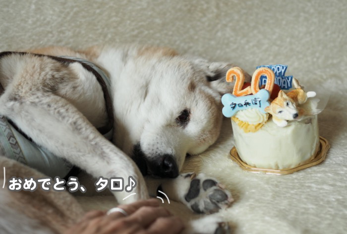 18日夕ブログ１０