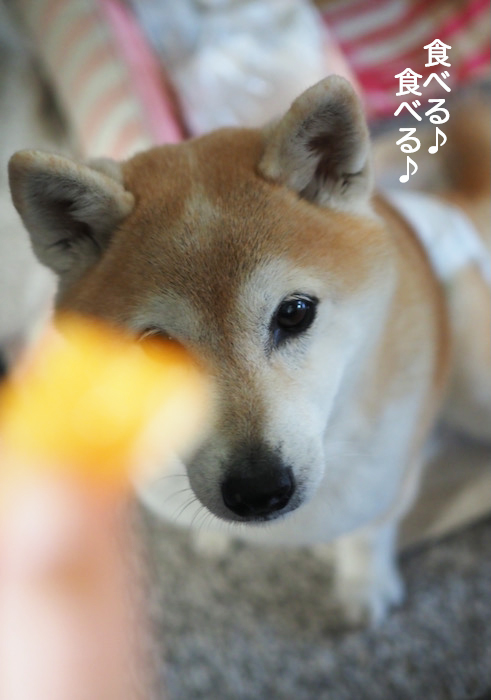 22日夜ブログ８
