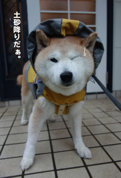 2日夕ブログ５