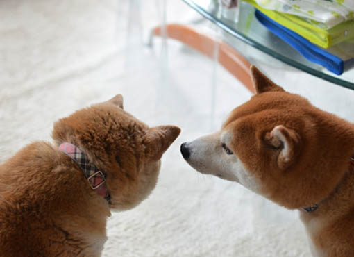 19日ブログ４.jpg