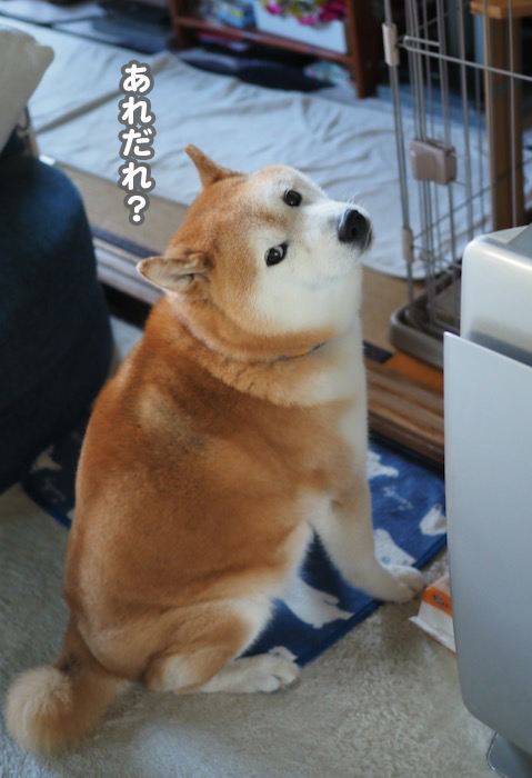 10日夕ブログ７