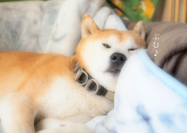5日ブログ4