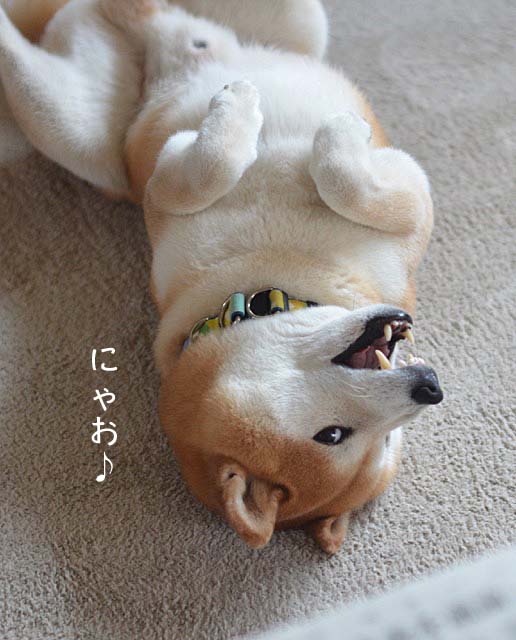 26日ブログ4