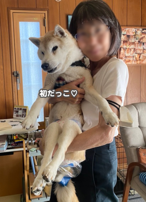 12日ブログ１７