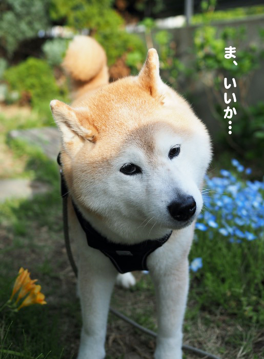 25日夕ブログ4