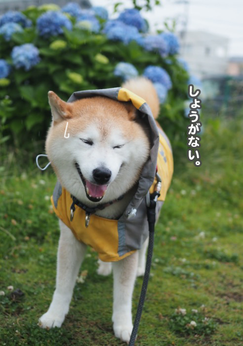 22日夕ブログ4