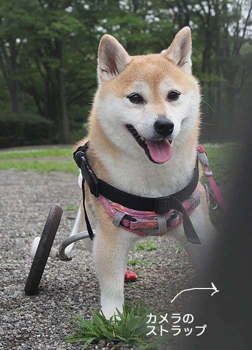 2日夜ブログ4
