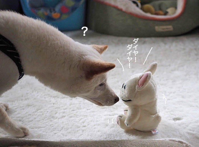5日ブログ6