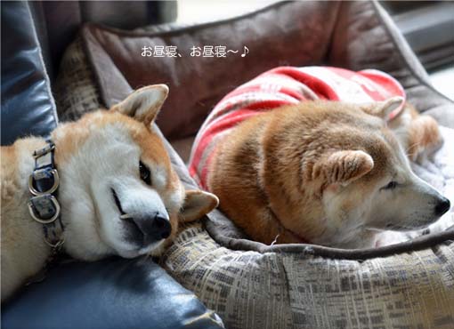 30日ブログ2.jpg